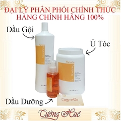 Dầu Gội - Ủ Tóc - Dầu Dưỡng Phục Hồi Tóc Hư Tổn Fanola Nutri Care ( Vàng )