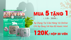 Kẹo Ngậm BJ Phòng The Mastic Mint Chính Hãng Hộp 20 Viên