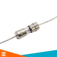 Cầu Chì Cắm- Chân Hàn 3x10mm 250V