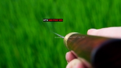 Dao lọc thịt DL09