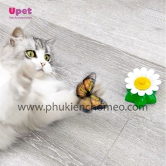 Đồ chơi mèo bắt bướm tự động