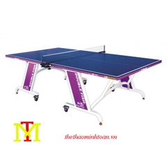 Bàn bóng bàn Double Fish DF 703