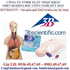 MÔ HÌNH THỰC TẬP GIẢNG DẠY Y DƯỢC 3B SCIENTIFIC