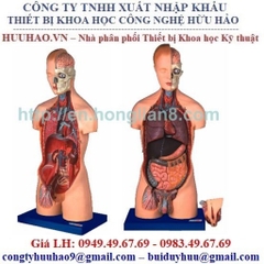 MÔ HÌNH BÁN THÂN PHỦ TẠNG THÁO RỜI GD/A10002