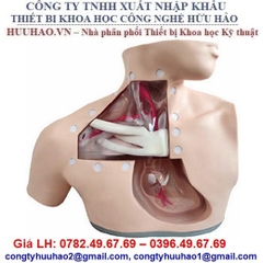 MÔ HÌNH ĐẶT CATHETER TĨNH MẠCH TRUNG TÂM