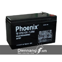 Ắc quy Phoenix TS1272 (12V-7.2ah)