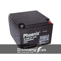 Ắc quy Phoenix TS12240W (12V-24ah)