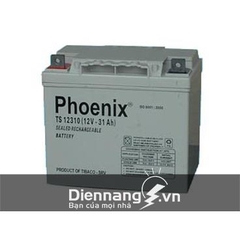 Ắc quy Phoenix TS12310 (12V-31ah) Ắc quy Phoenix TS12310 (12V-31ah)