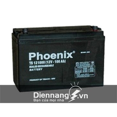 Ắc quy Phoenix TS121000 (12V-100ah)