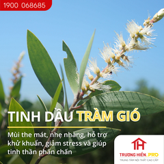 Tinh dầu IDANGCAP tràm gió nguyên chất 50ml