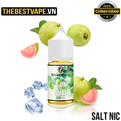 Steam Works - GUAVA ICE ( Ổi Lạnh ) - Salt Nicotine