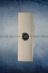 Hạt tivi Vanni Xám