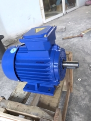 Motor điện 1,5hp vỏ gang trục 24mm