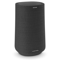 Loa Harman Kardon Citation 100