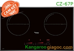 CZ 67P, Bếp điện từ Canzy CZ 67P