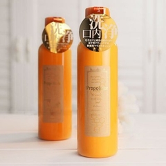 Nước Súc Miệng Propolinse chiết xuất sáp ong không cồn mẫu mới 600ml - Hàng Nội Địa Nhật