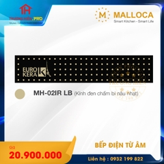 bếp điện từ Malloca MH-02IR LB