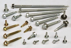 Vít tôn sắt Cá Sấu TM chữ D loại 1-5P-12x2'' (1t=25b)