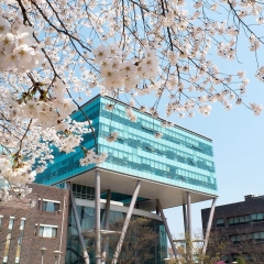 ĐẠI HỌC NỮ SINH SEOUL - 서울여자 대학교