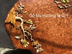 Tranh gỗ Nu hương