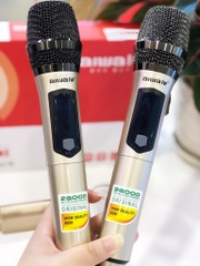 Bộ microphone không dây Aiwa UF-12 (2 Mic)