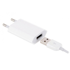 Adapter sạc Apple iPhone 5W Zẹt (Chính hãng)