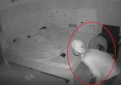 Xem lại camera, người phụ nữ ở Bình Dương hoảng hồn thấy trộm đột nhập