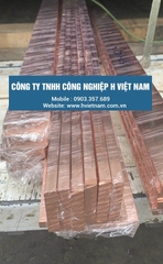 Đồng thanh Cái