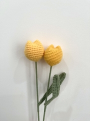 Thành phẩm hoa tulip tròn