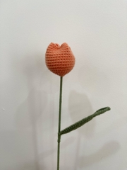 Thành phẩm hoa tulip tròn