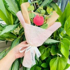 Bó Hoa Tulip LYLYCRAFT Bằng Len Handmade Đan Thủ Công Quà Tặng 8/3 Dành Cho Mẹ, Bạn Gái, Người Yêu ( Hàng Có Sẵn)