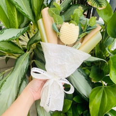 Bó Hoa Tulip LYLYCRAFT Bằng Len Handmade Đan Thủ Công Quà Tặng 8/3 Dành Cho Mẹ, Bạn Gái, Người Yêu ( Hàng Có Sẵn)