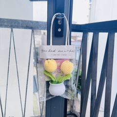 Combo chậu tulip vàng kèm thiệp túi