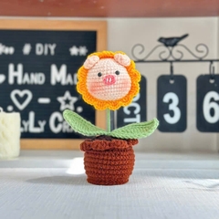 Chậu Hoa Thú Đế Len