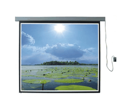 Màn chiếu điện ( có điều khiển từ xa)  120 inch Eco screen tỉ lệ 1:1