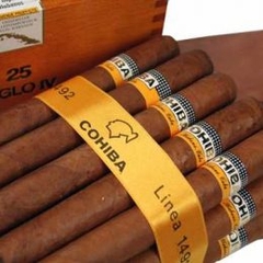 Cohiba – 24 Piramides Luxury Humidor L.E. 2006