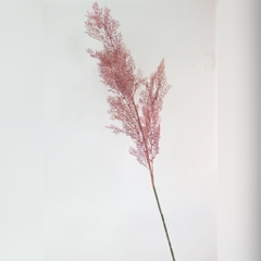 HN070 - Cành cỏ lau hồng