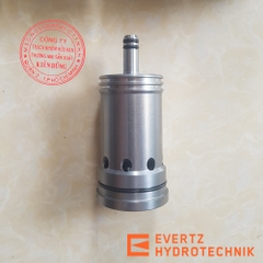 Evertz Spray Valve DN16 PN16 2:1 Pistonspray HZ003244-01 IMG04