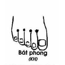 Bát Phong