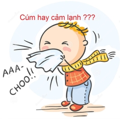 CÚM VÀ CẢM LẠNH