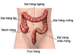 Đại trường phủ