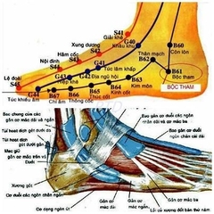 Học Huyệt Giao Tín - Điểu chỉnh kinh nguyệt