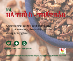 Trà HÀ THỦ Ô - THẤT BẢO