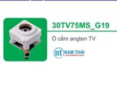 Ổ cắm angten TV (30TV75MS_G19)