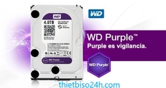 Ổ CỨNG WD PURPLE 4TB WD40PURZ