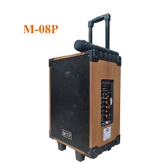 Loa kéo MTP M-08P bass 20 – 1 mic