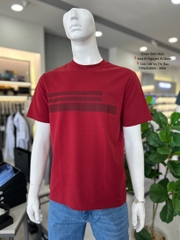 ÁO THUN T-SHIRT TSN253669