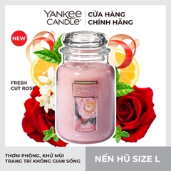 Nến hũ L Fresh Cut Rose