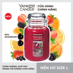 Nến hũ L Red Raspberry