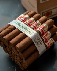 Cigar Hoyo de Monterrey Le Hoyo de Rio Seco box 25